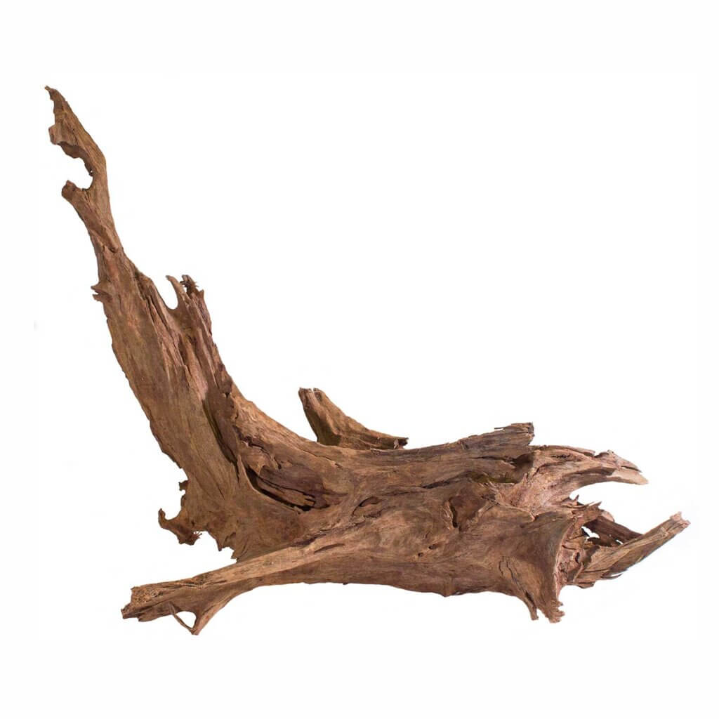 Driftwood, Natural, 1pc (11-13in) #2