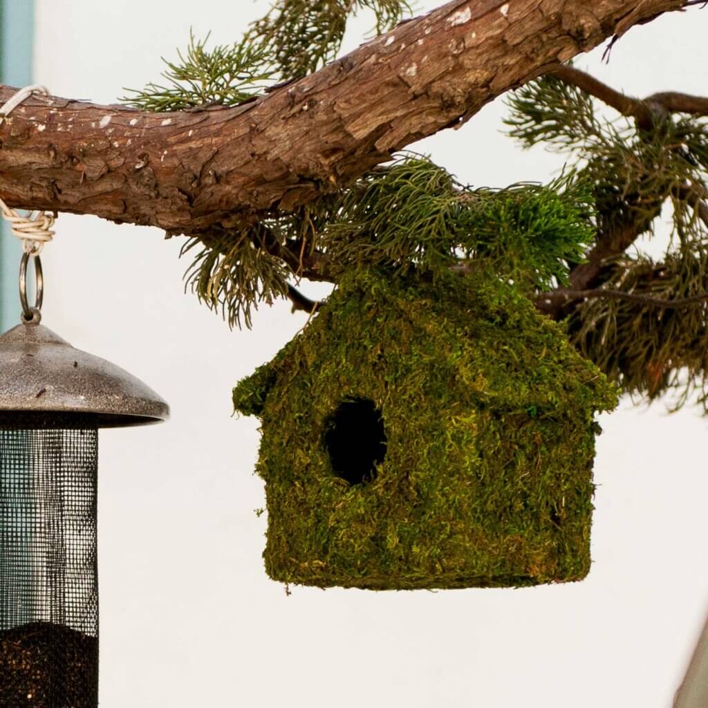 Maison Deco Birdhouse #4