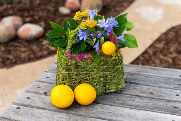 Beaumont Lavender Purse Planter Set