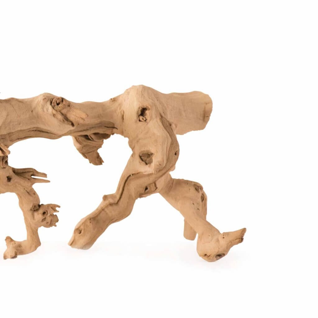 Grapevine Branch Medium 19 in. - 24 in. #3