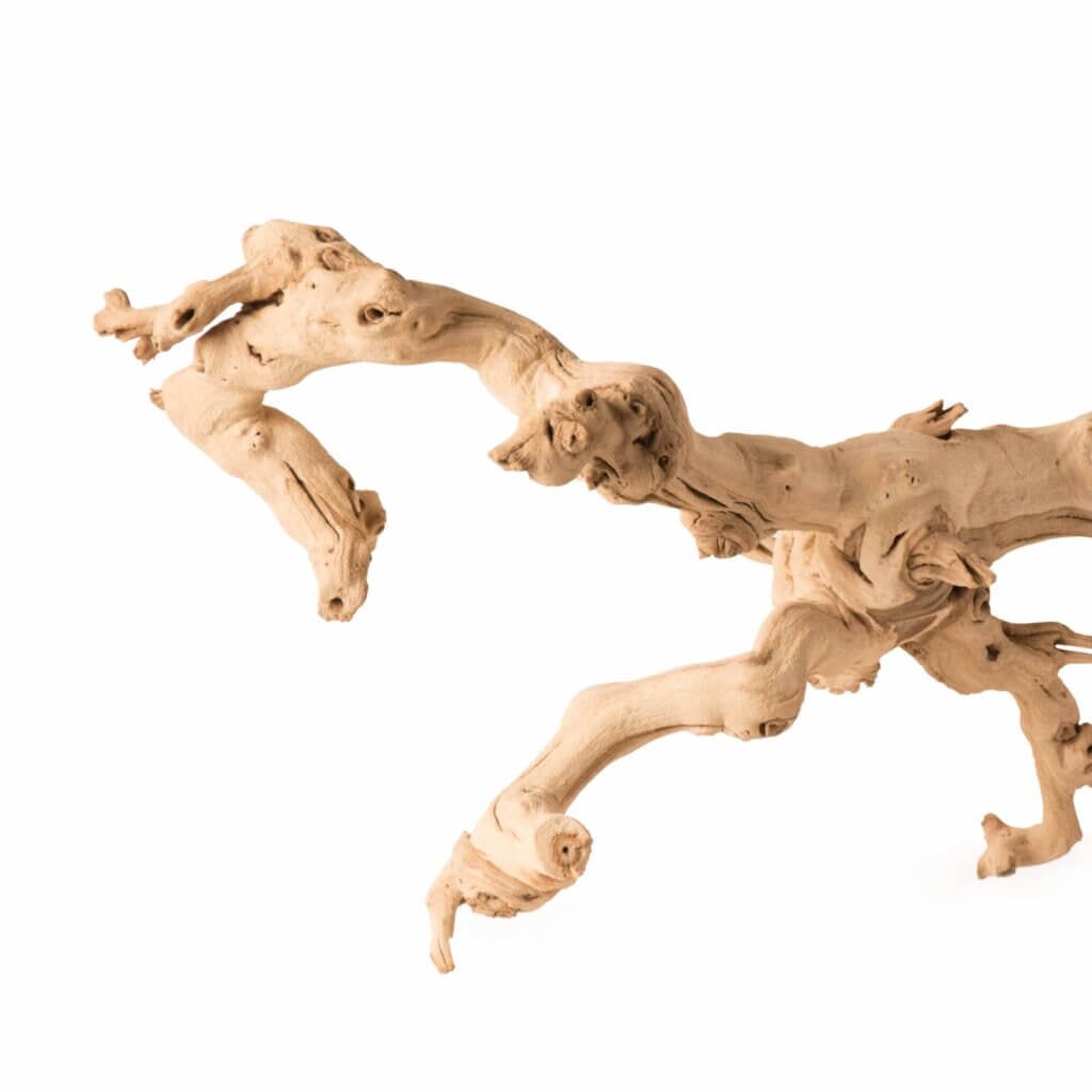 Grapevine Branch Medium 19 in. - 24 in. #4