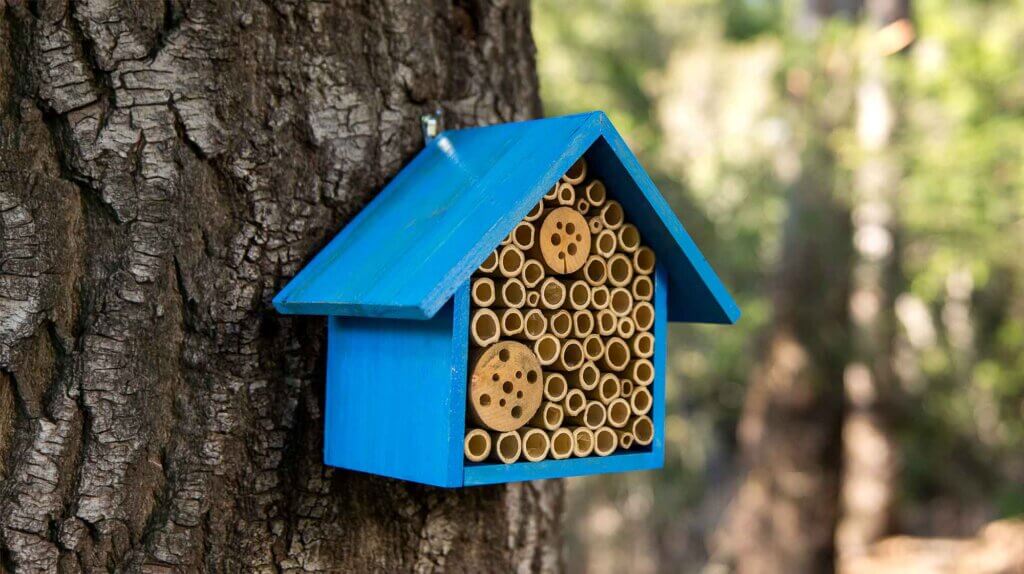 Beneficial Bug House, Heather, Mixed Case #1