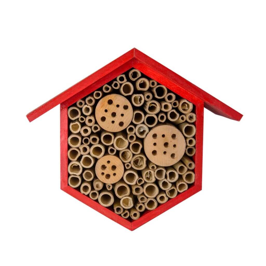 Beneficial Bug House, Hibiscus, Mixed Case #2