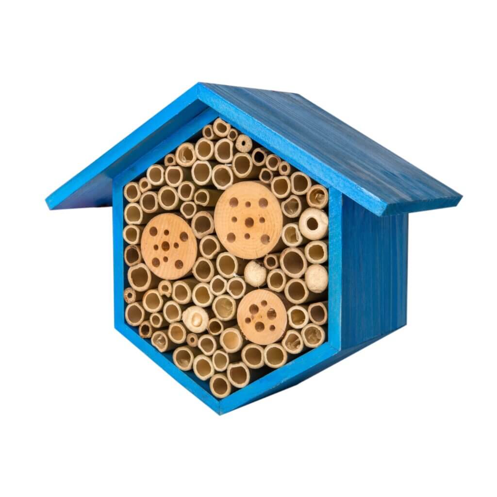 Beneficial Bug House, Hibiscus, Mixed Case #3