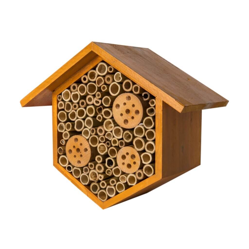 Beneficial Bug House, Hibiscus, Mixed Case #4