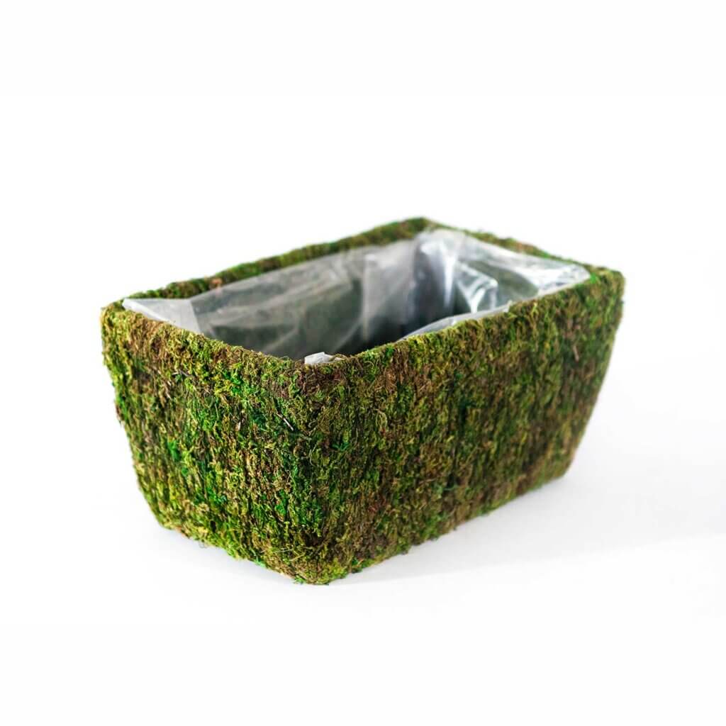 Chino Deco Moss Basket Set #3