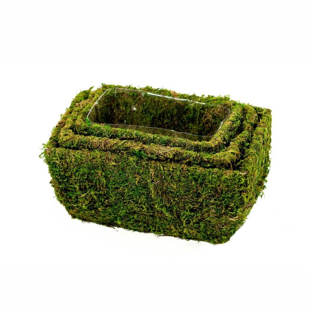 Chino Deco Moss Basket Set #4
