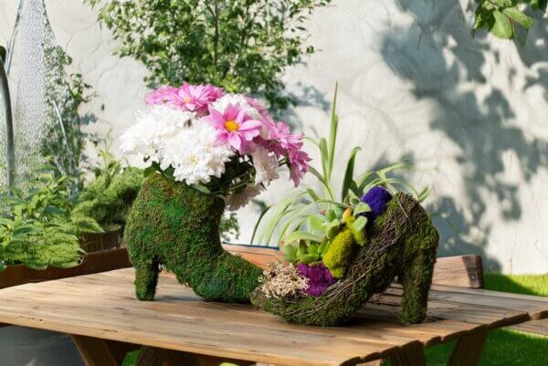 Ladies Assorted Shoe Planter Set