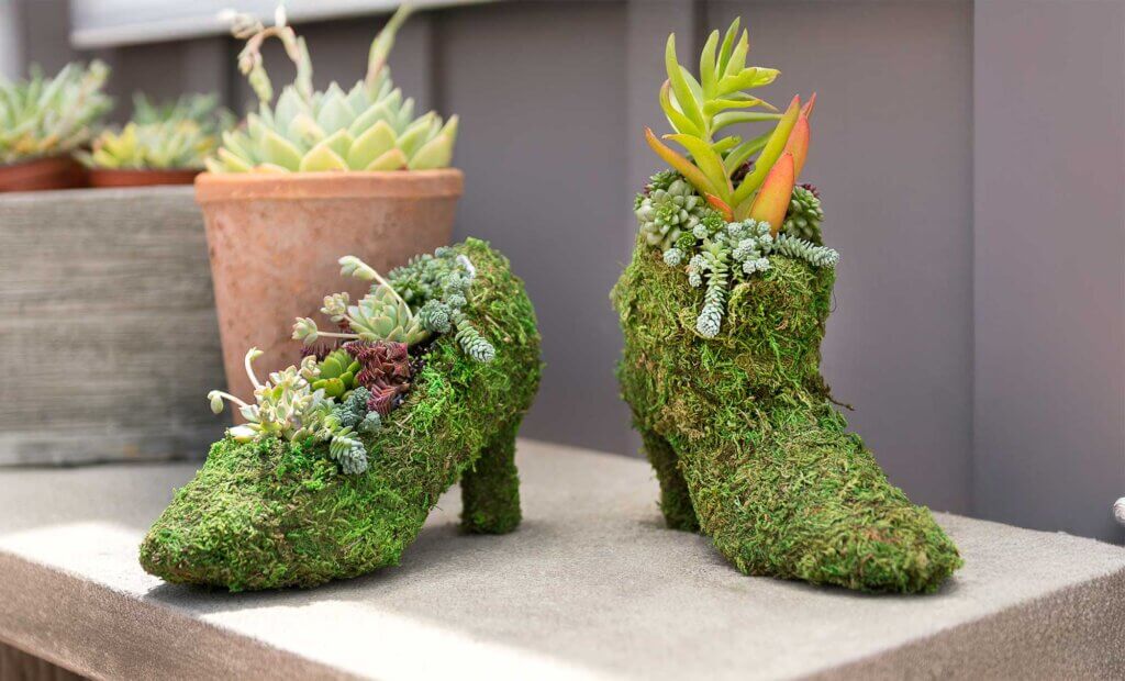 Ladies Assorted Shoe Planter Set #5