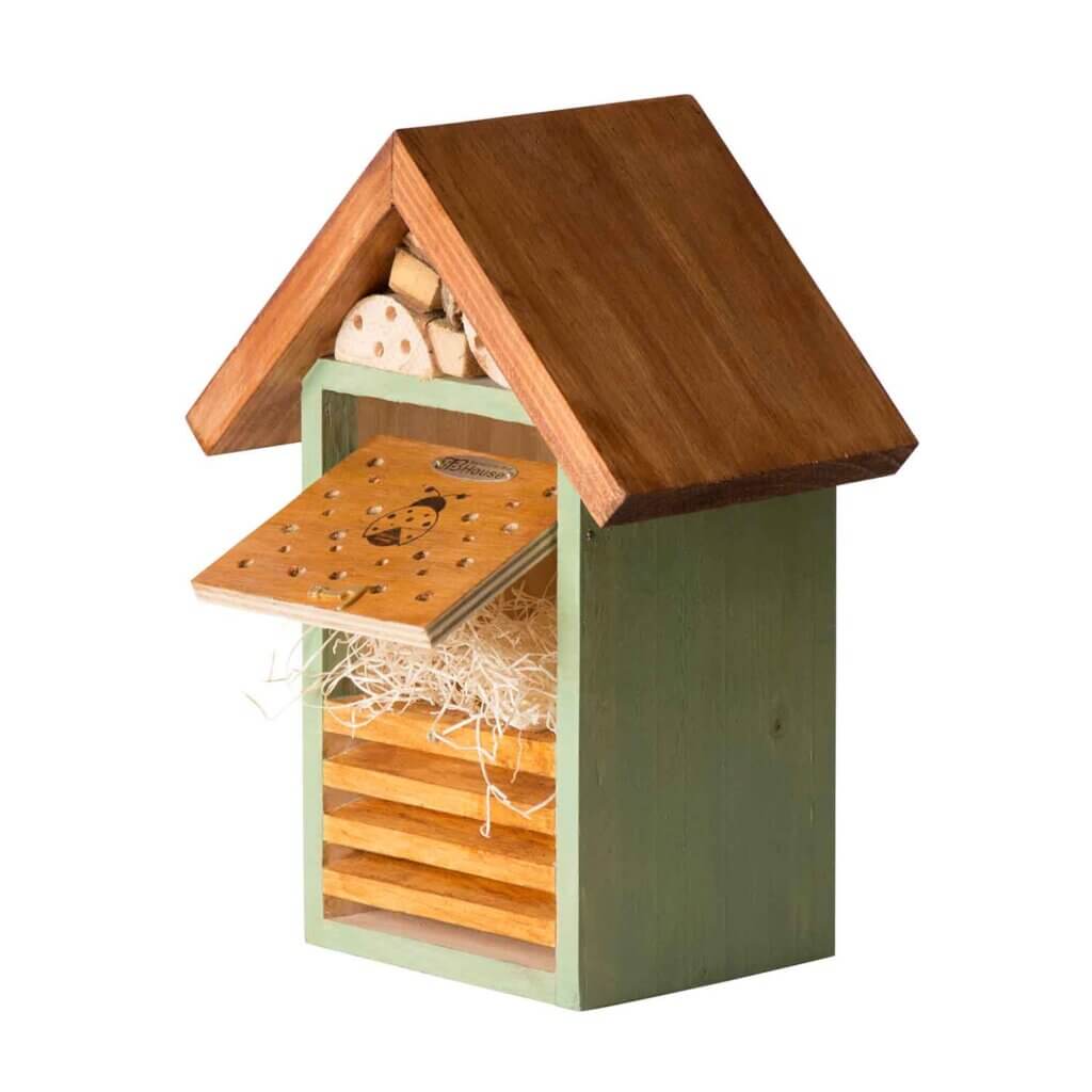 Beneficial Ladybug House, Mixed #2