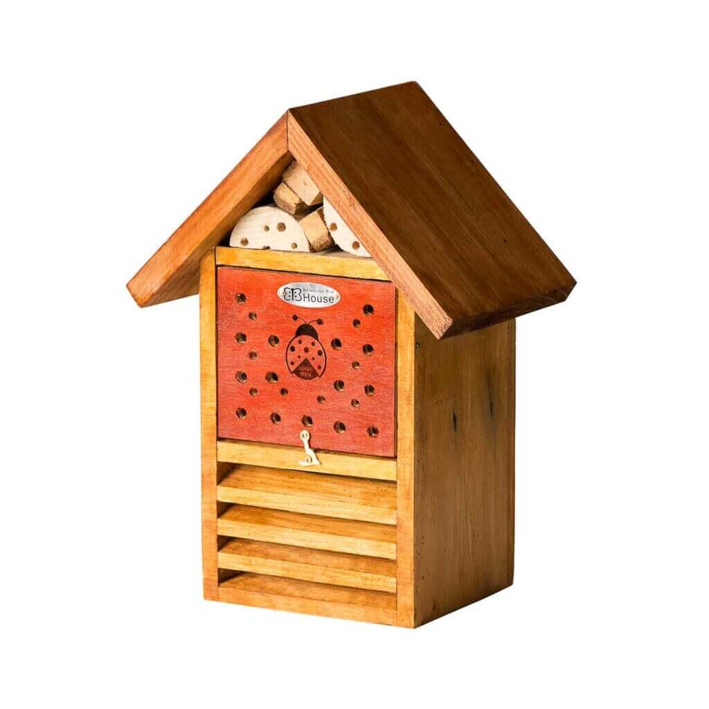Beneficial Ladybug House, Mixed #3