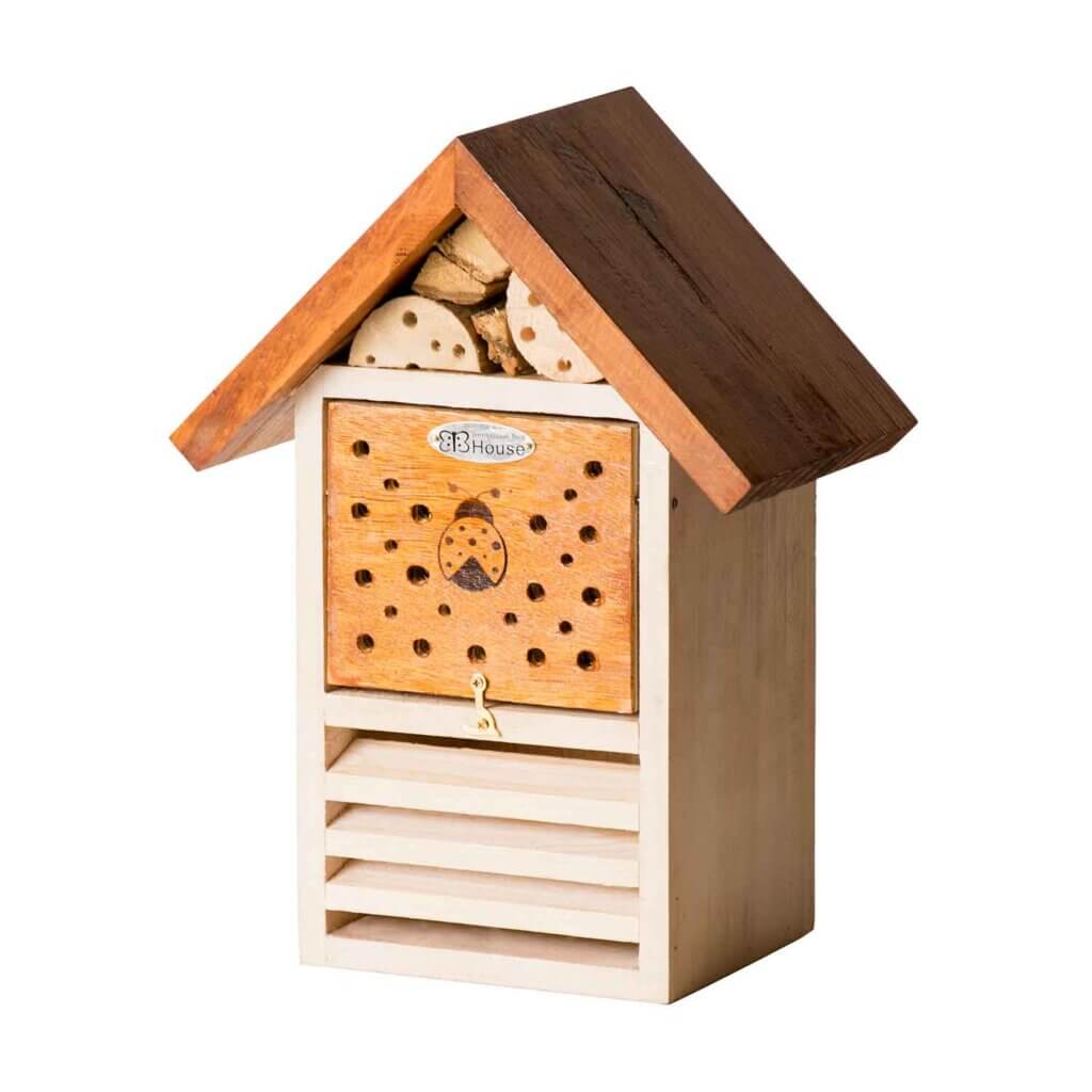 Beneficial Ladybug House, Mixed #4