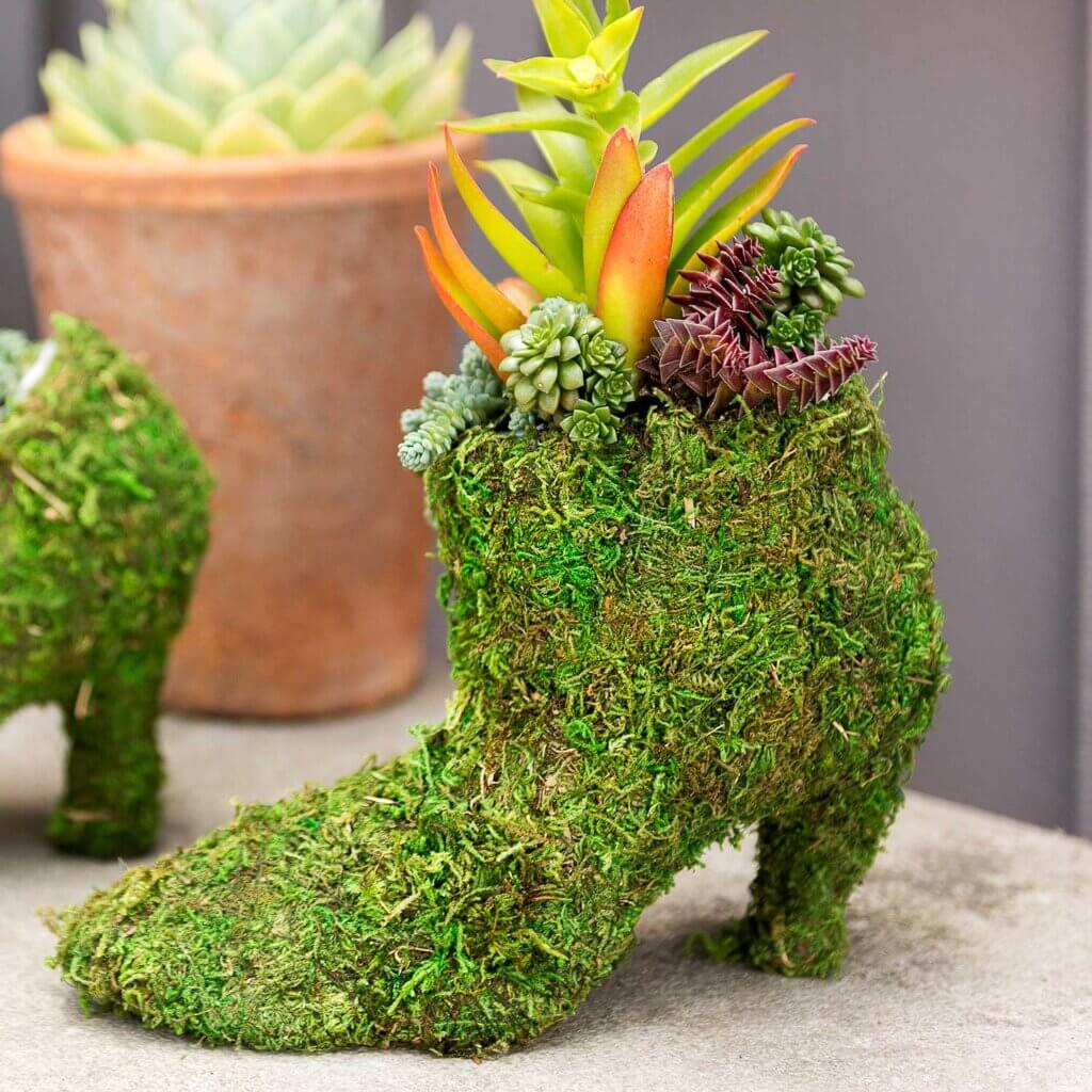 Bella Low Boot Deco Moss Planter #4
