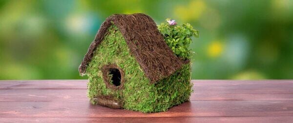 Plantable Maison Birdhouse