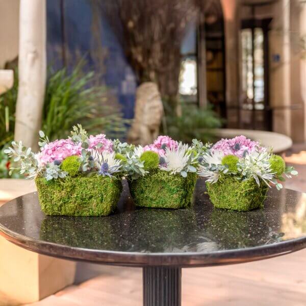 Marin Deco Moss Basket Set