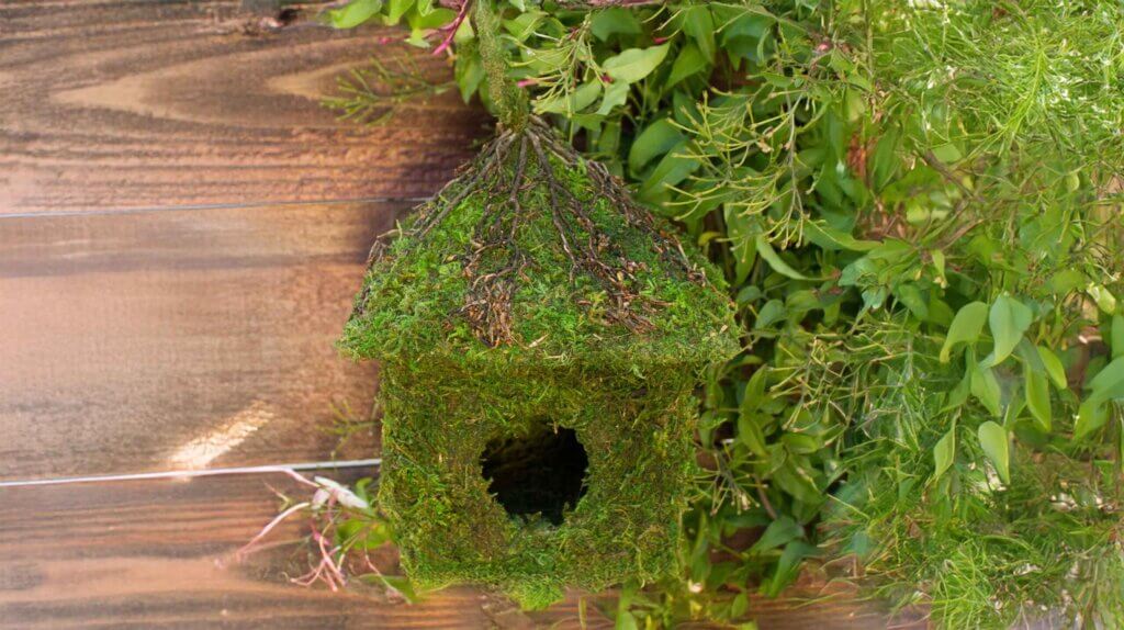 Shack Vine Roof Deco Birdhouse #1