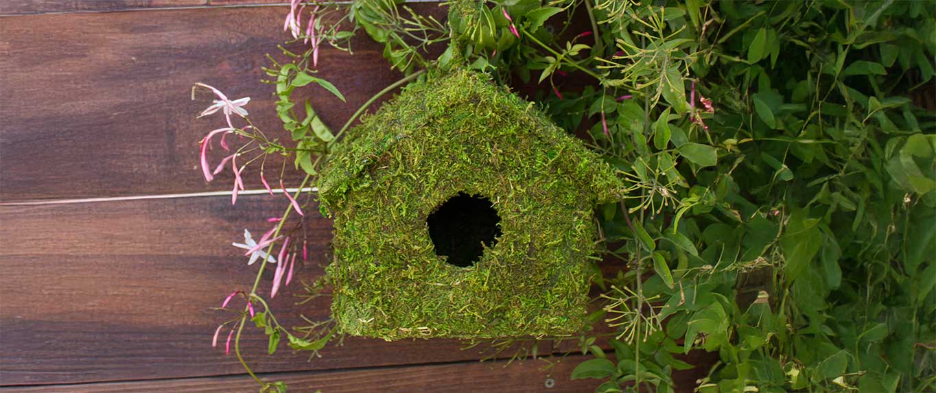 Maison Deco Birdhouse #1