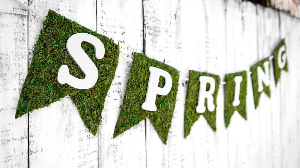 Instant Green® Moss Mat #1