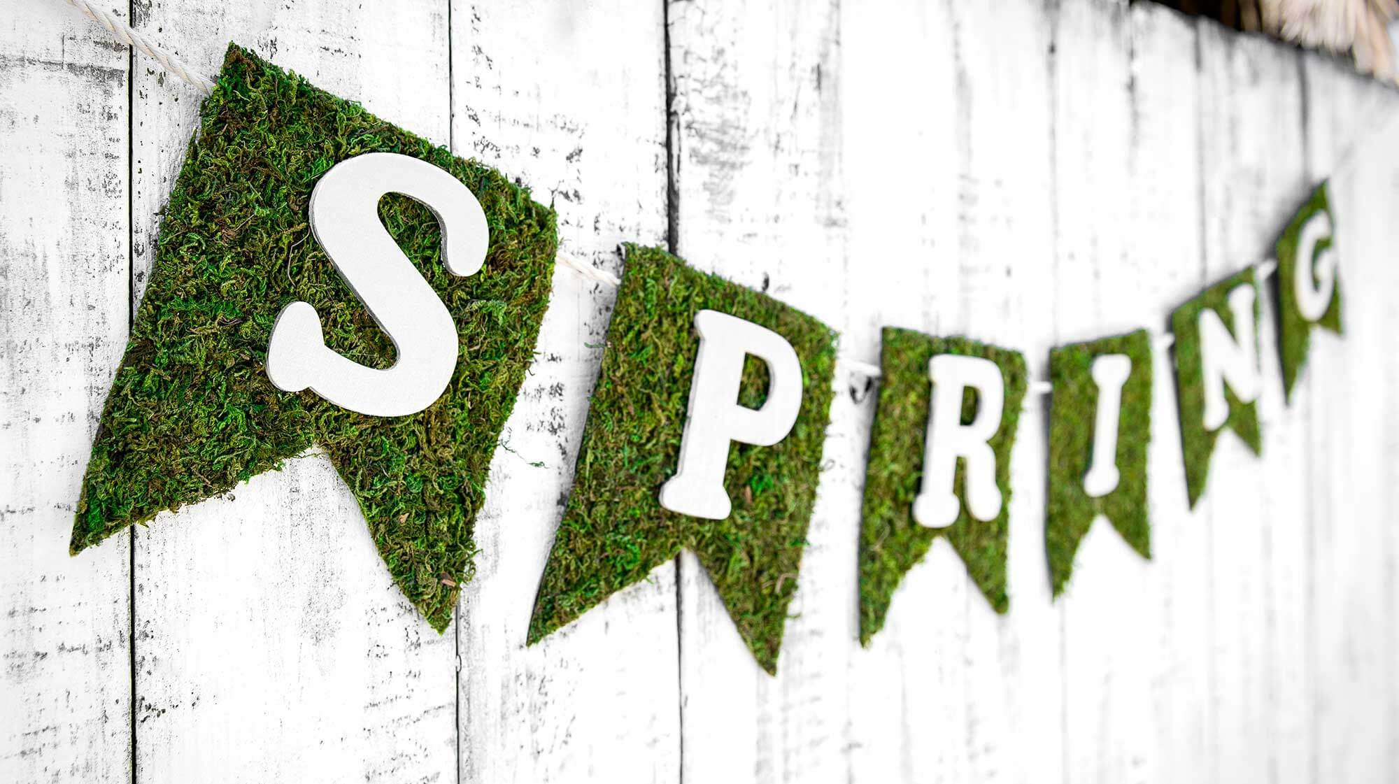 SuperMoss - Peel n' Stick Moss Mat