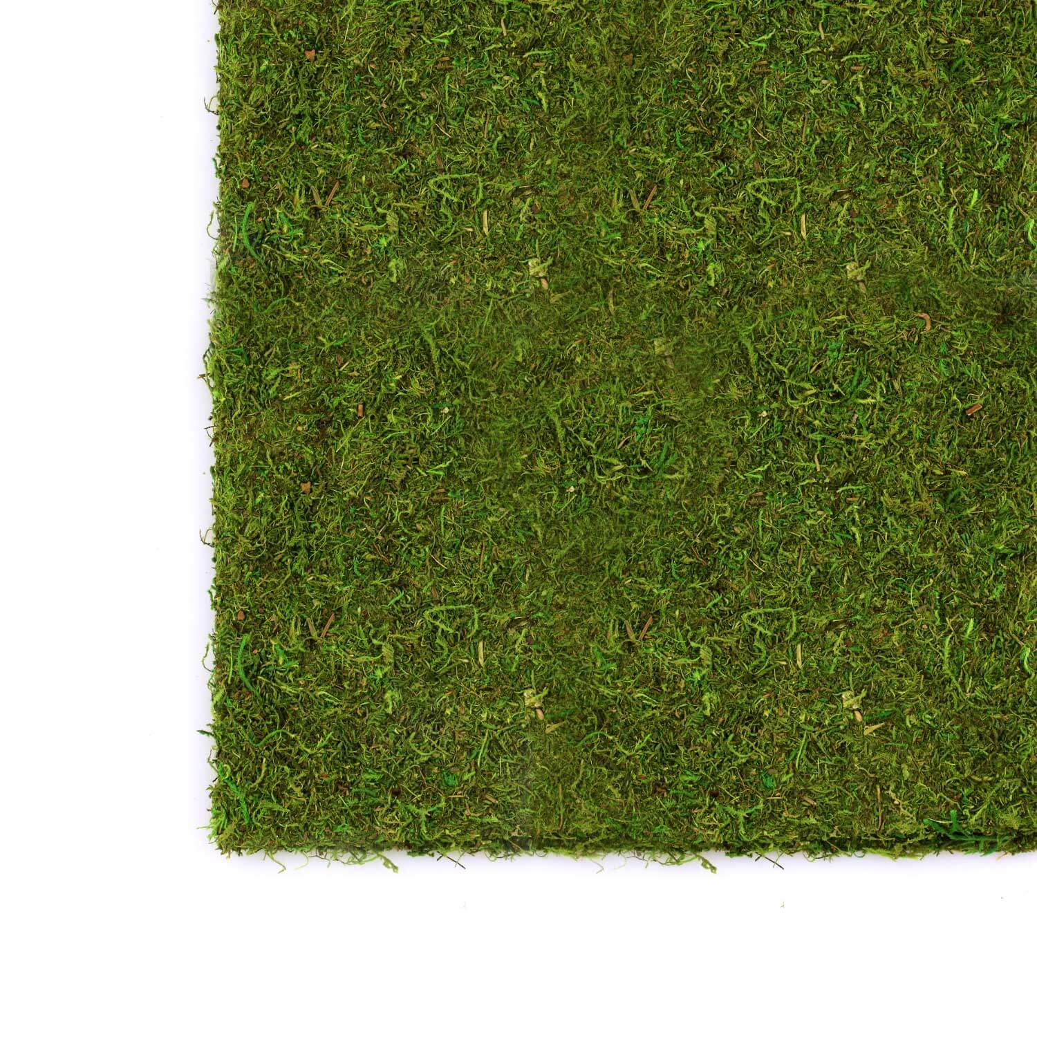 【美品】MOSS LEGIT 163cm Faux Moss & Fern Tile Square 20