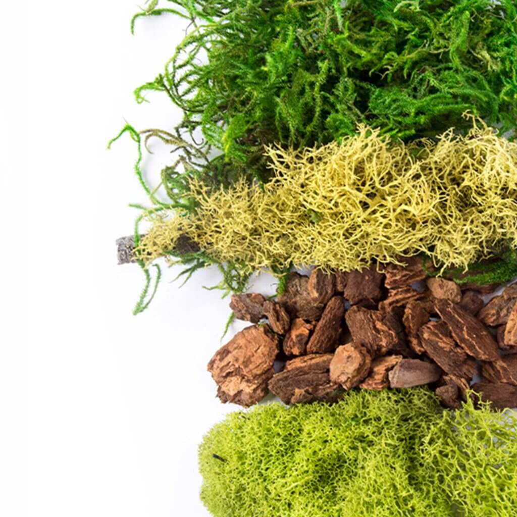 Fairy Garden Moss Mix #4