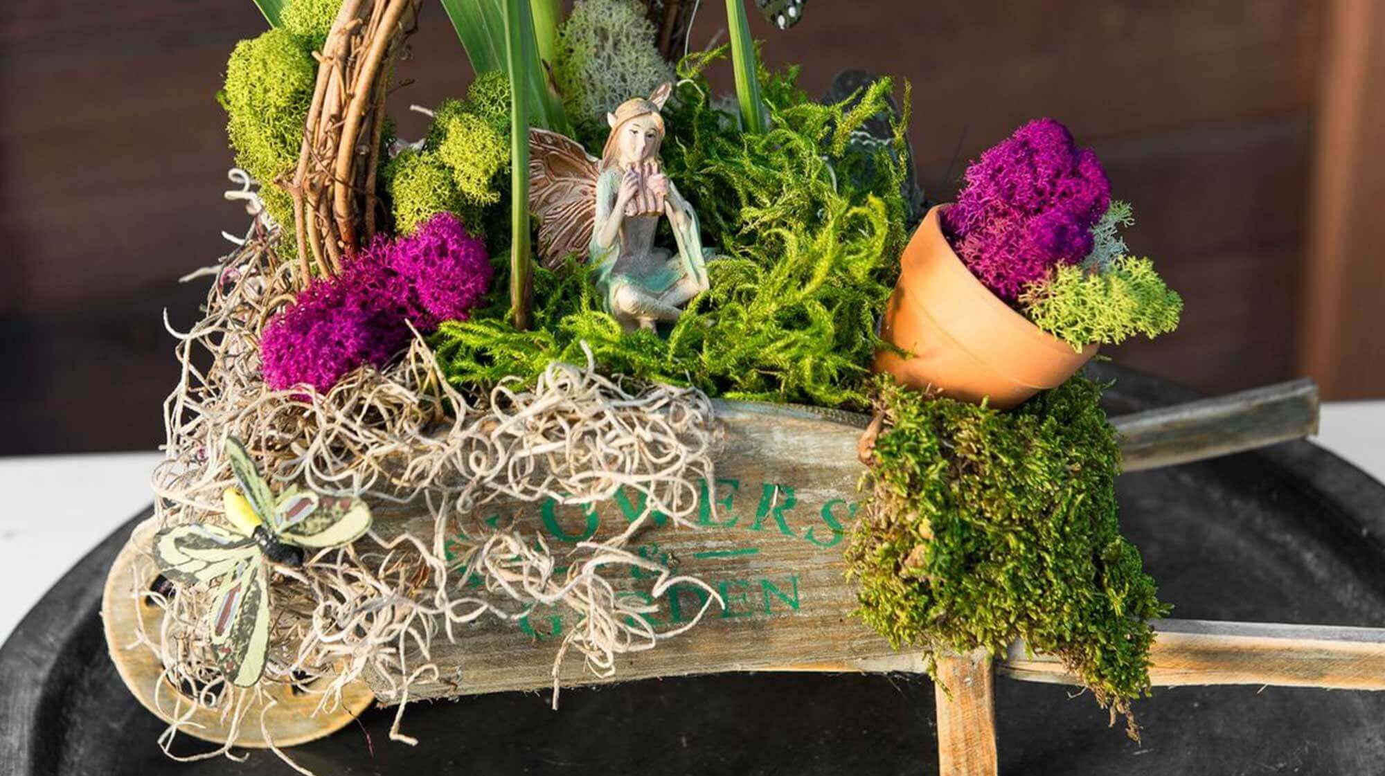 【美品】MOSS LEGIT 163cm Eurohypnum Live Moss | Soft Sheet Moss for Terrariums & Vivariums