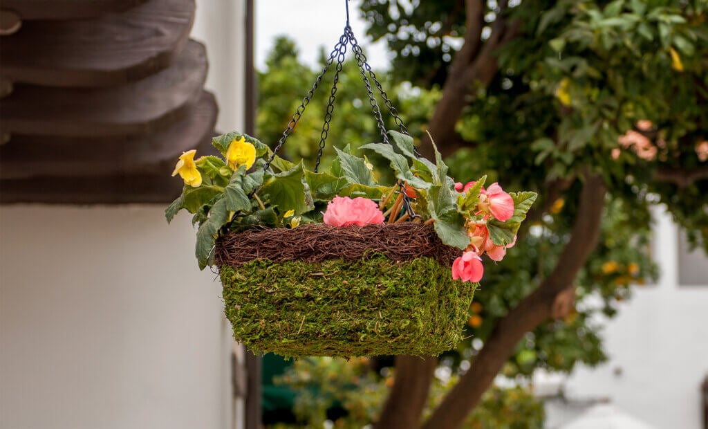MossWeave Square Hanging Basket, Wicker Rim, Set of 3 #1