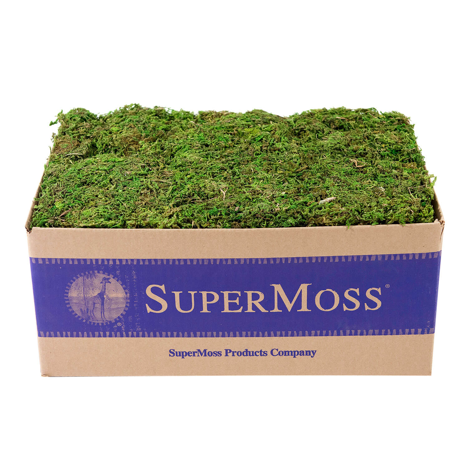 [美品] 22-23 MOSS Q2 156cm 予約商品] 25-26 MOSS スノーボード Q2 156cm Qシリーズ モス