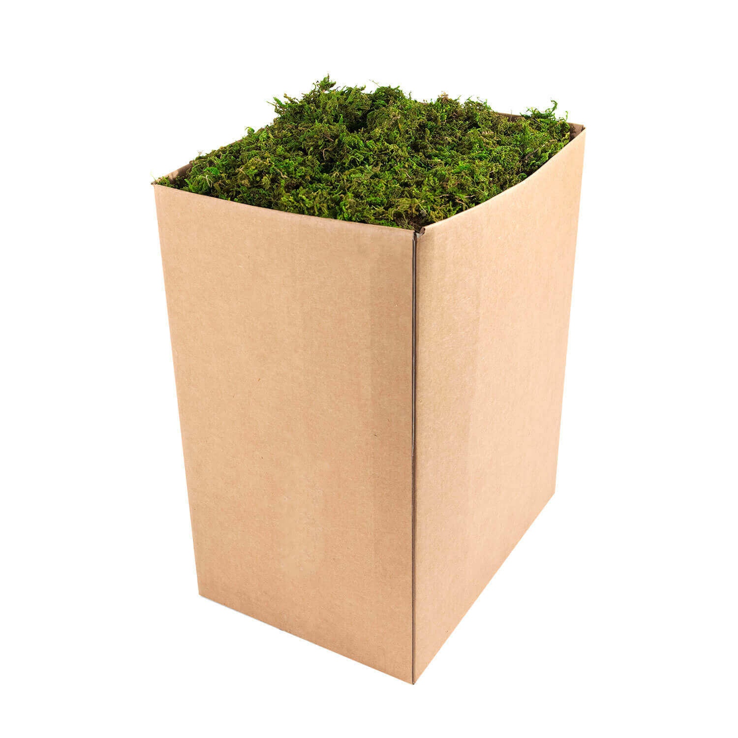 mossページ SuperMoss | Preserved Mountain Moss