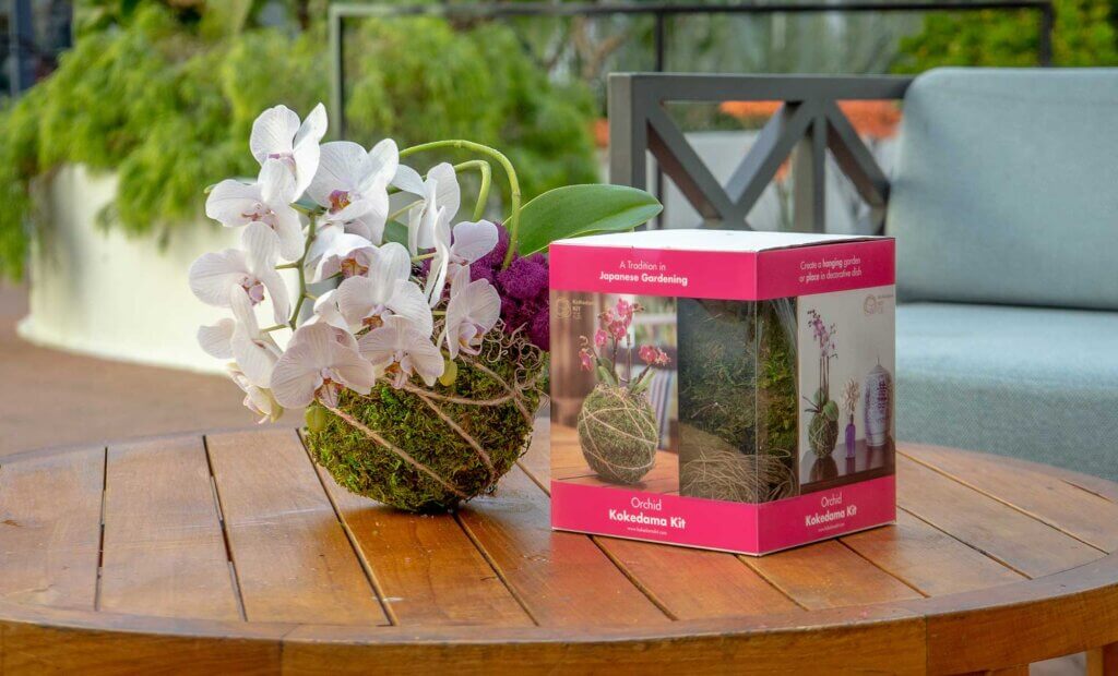 Orchid 6" Kokedama Kit #1