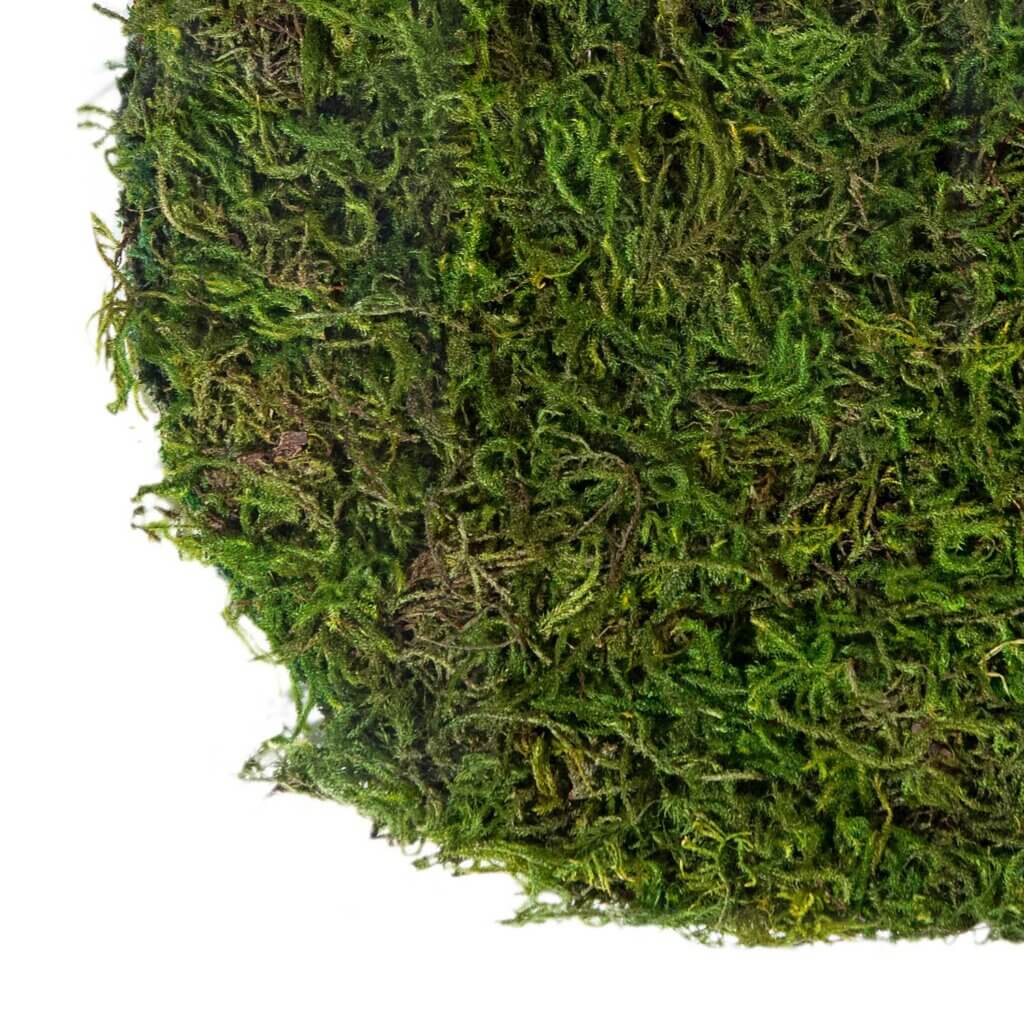 Forest Moss Placemat, 12" #4