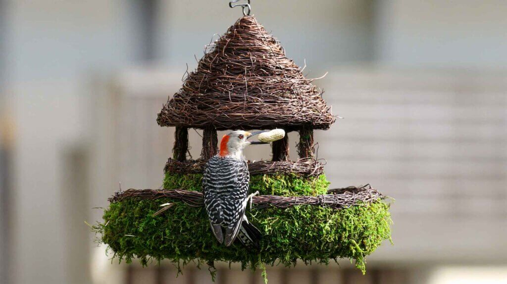 Plantable Gazebo Birdhouse #1