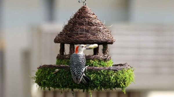 Plantable Gazebo Birdhouse