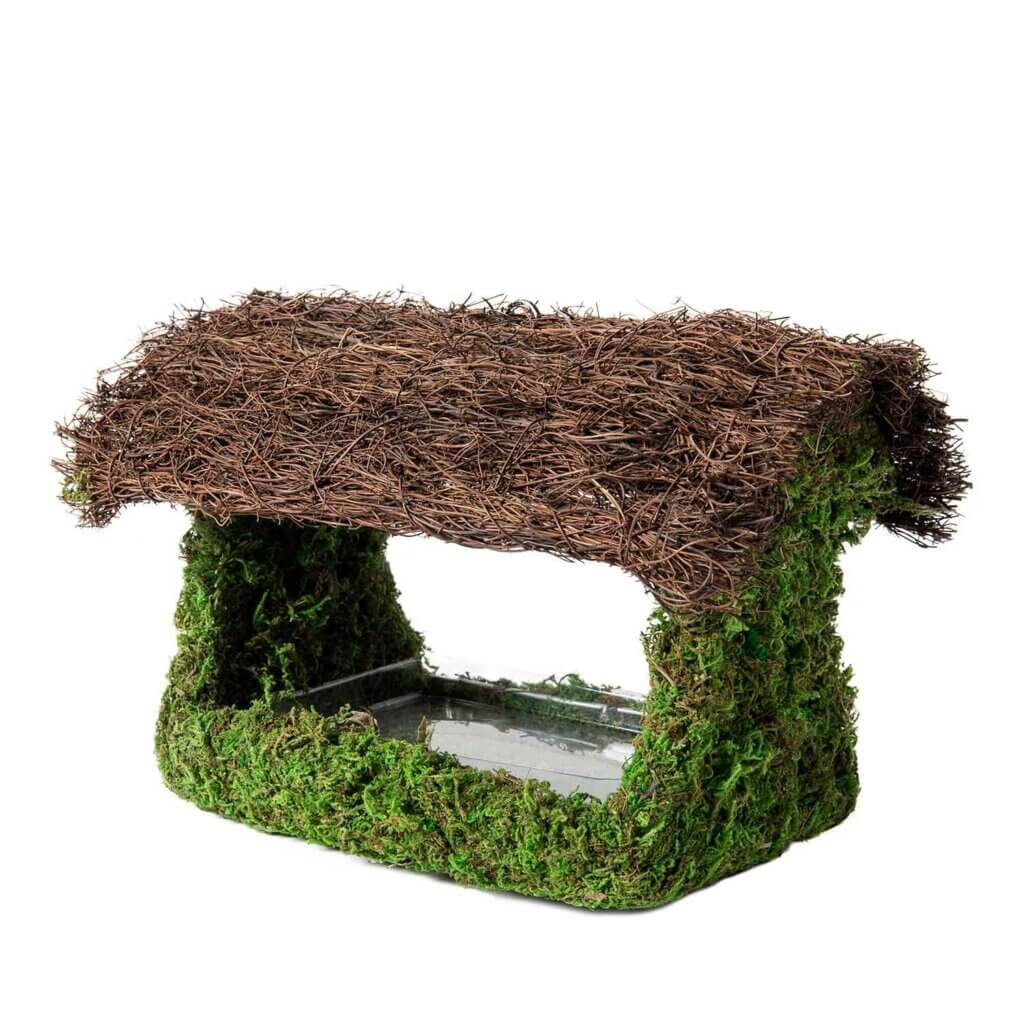 Plantable Porch Bird Feeder #3