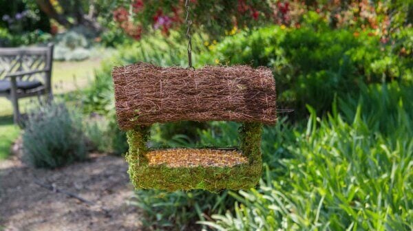 Plantable Porch Bird Feeder