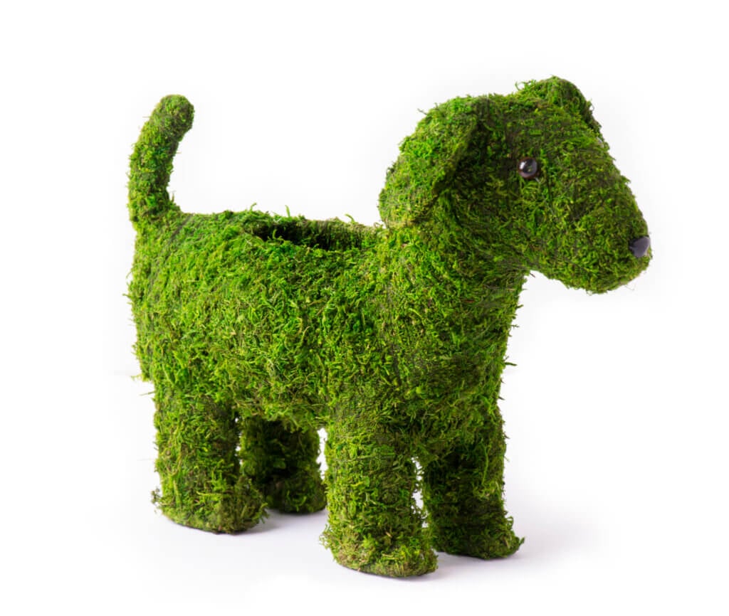 Doggy Creative Moss Planter #2