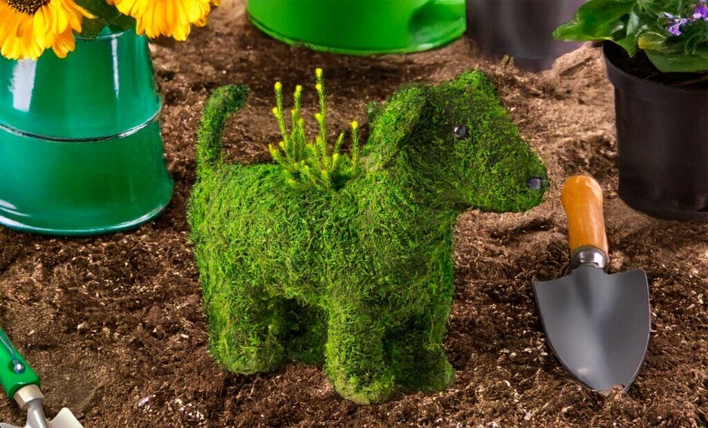 Doggy Creative Moss Planter #1