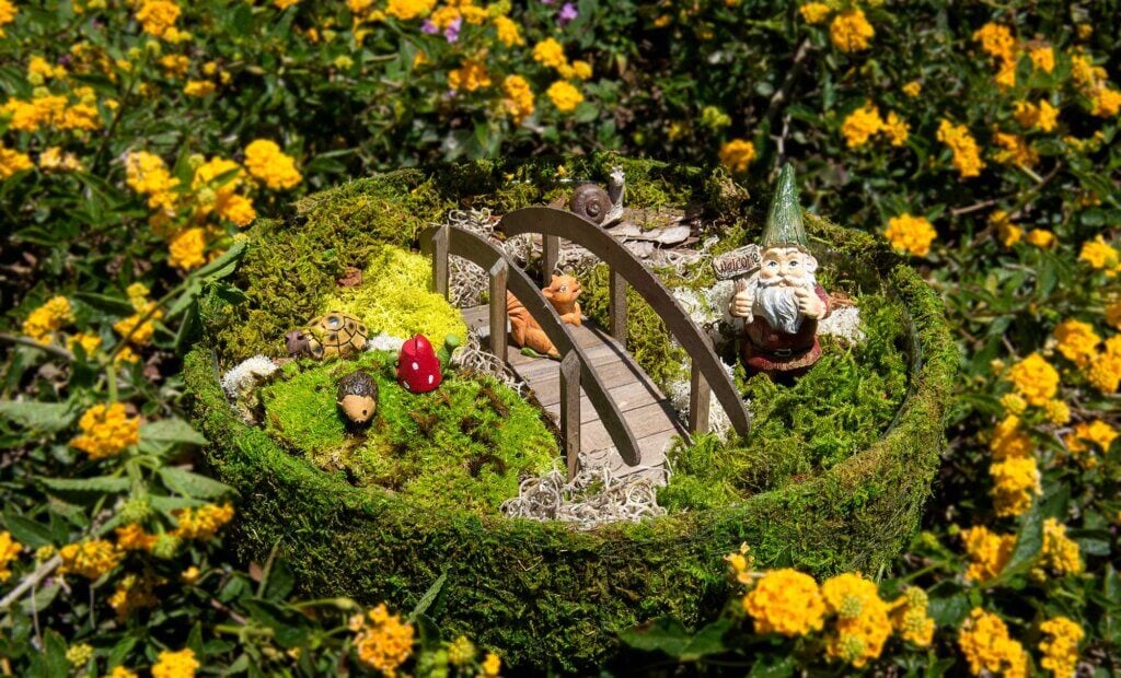 Delaware Moss Mix #1