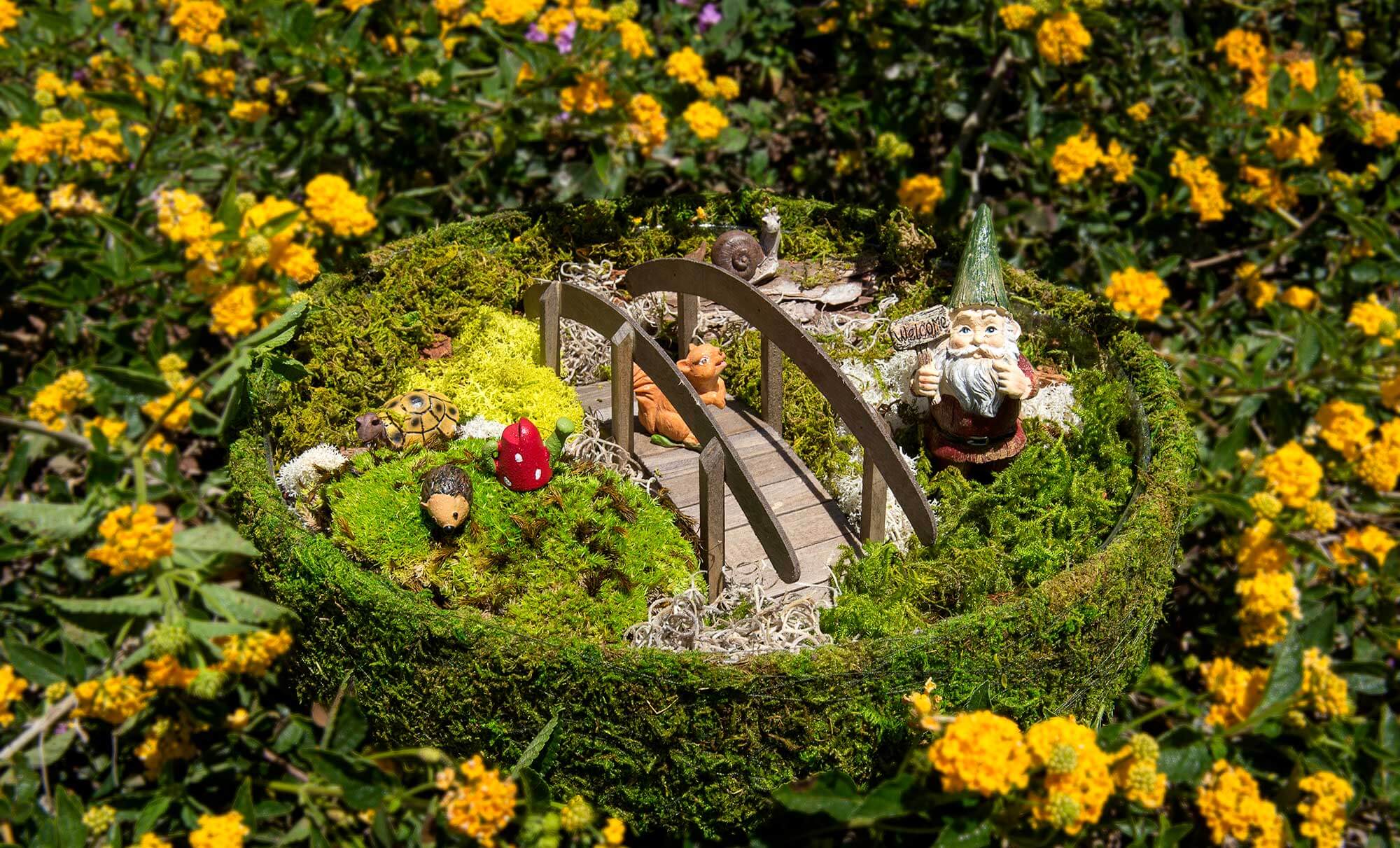 SuperMoss - Delaware Moss Mix