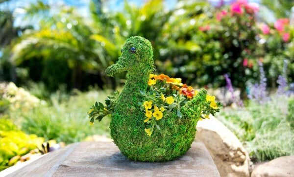 Swan Deco Moss Planter