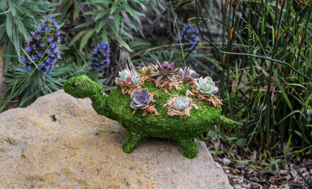 Turtle Deco Moss Planter #1