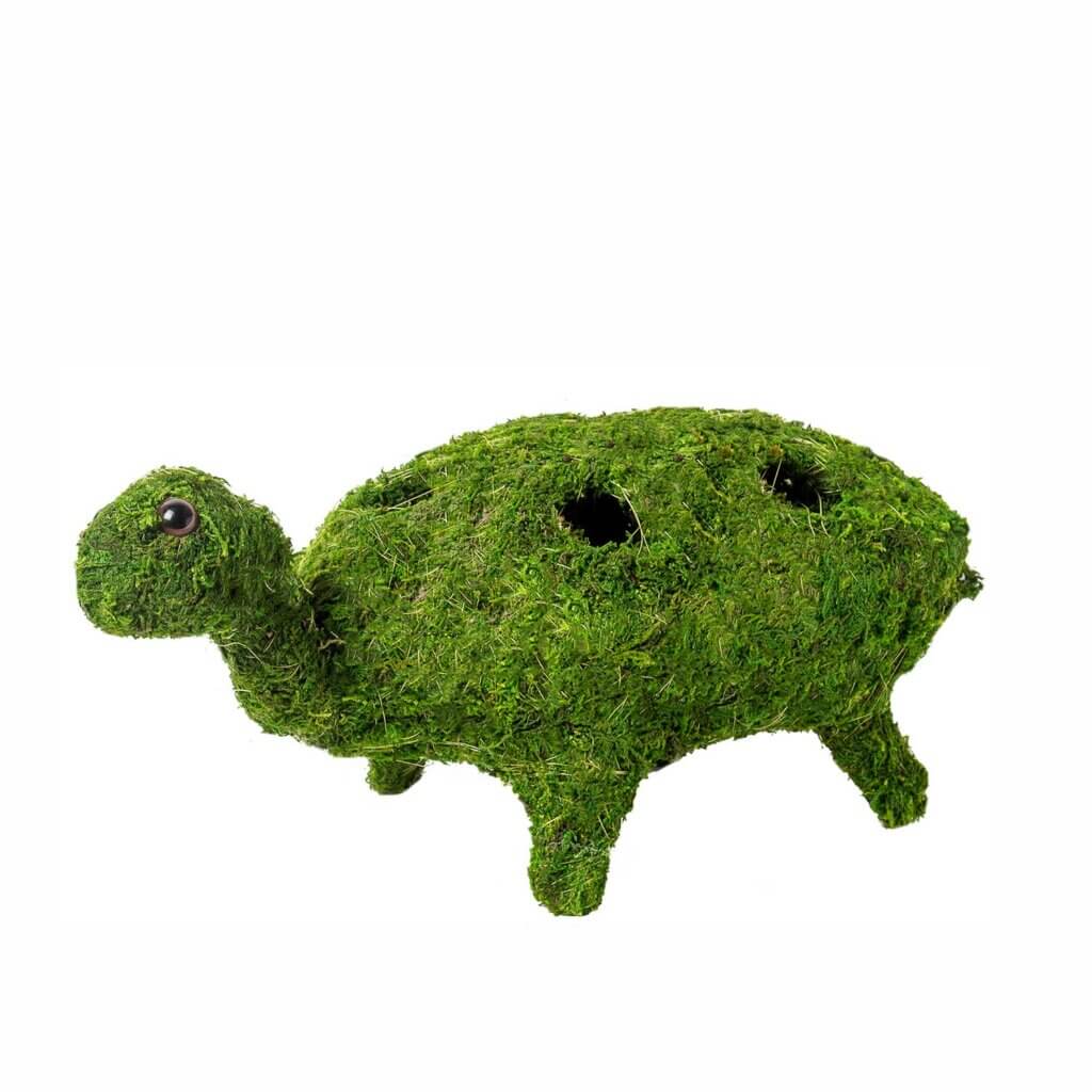 Turtle Deco Moss Planter #2