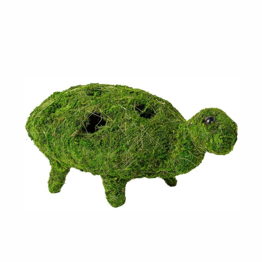 Turtle Deco Moss Planter #3