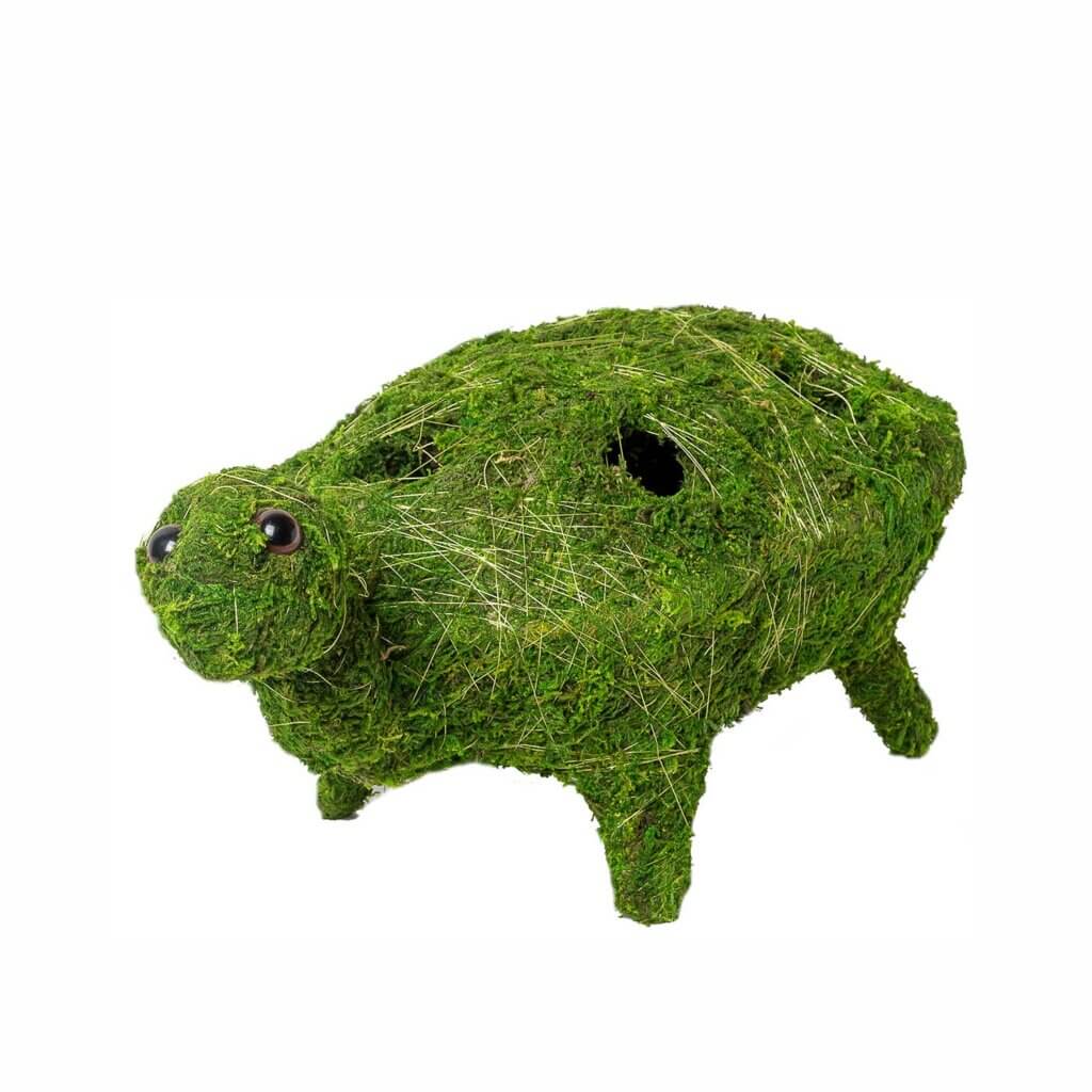 Turtle Deco Moss Planter #4