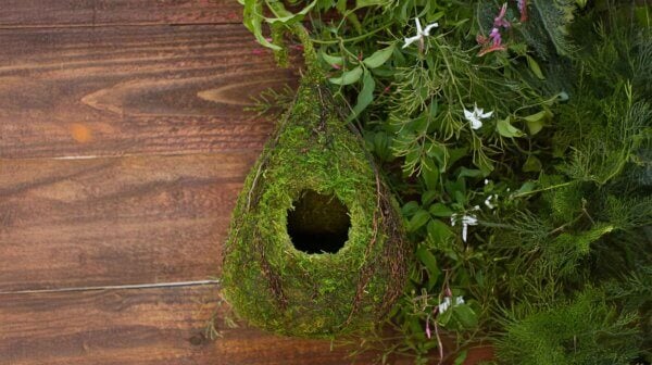 Vine Raindrop Deco Birdhouse