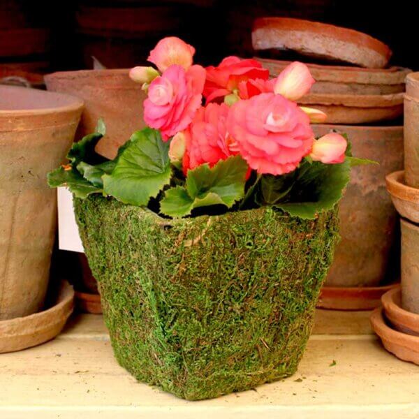 Woodside Deco Moss Basket Set