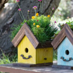 Amber-Birdhouse-Plantable_LIFESTYLE01