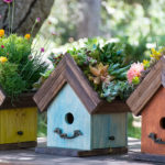 Amber-Birdhouse-Plantable_LIFESTYLE02