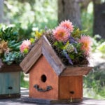 Amber-Birdhouse-Plantable_LIFESTYLE03