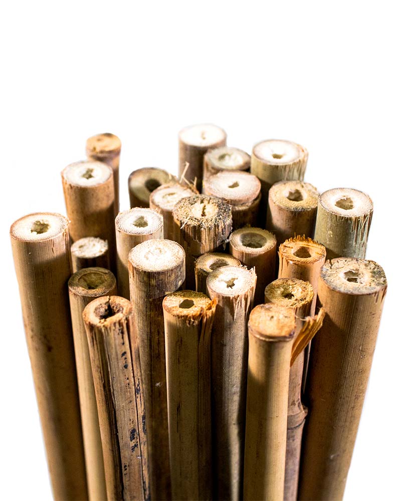SuperMoss (12462) Bamboo Sticks, Mahogany, 24 (25 Pack)